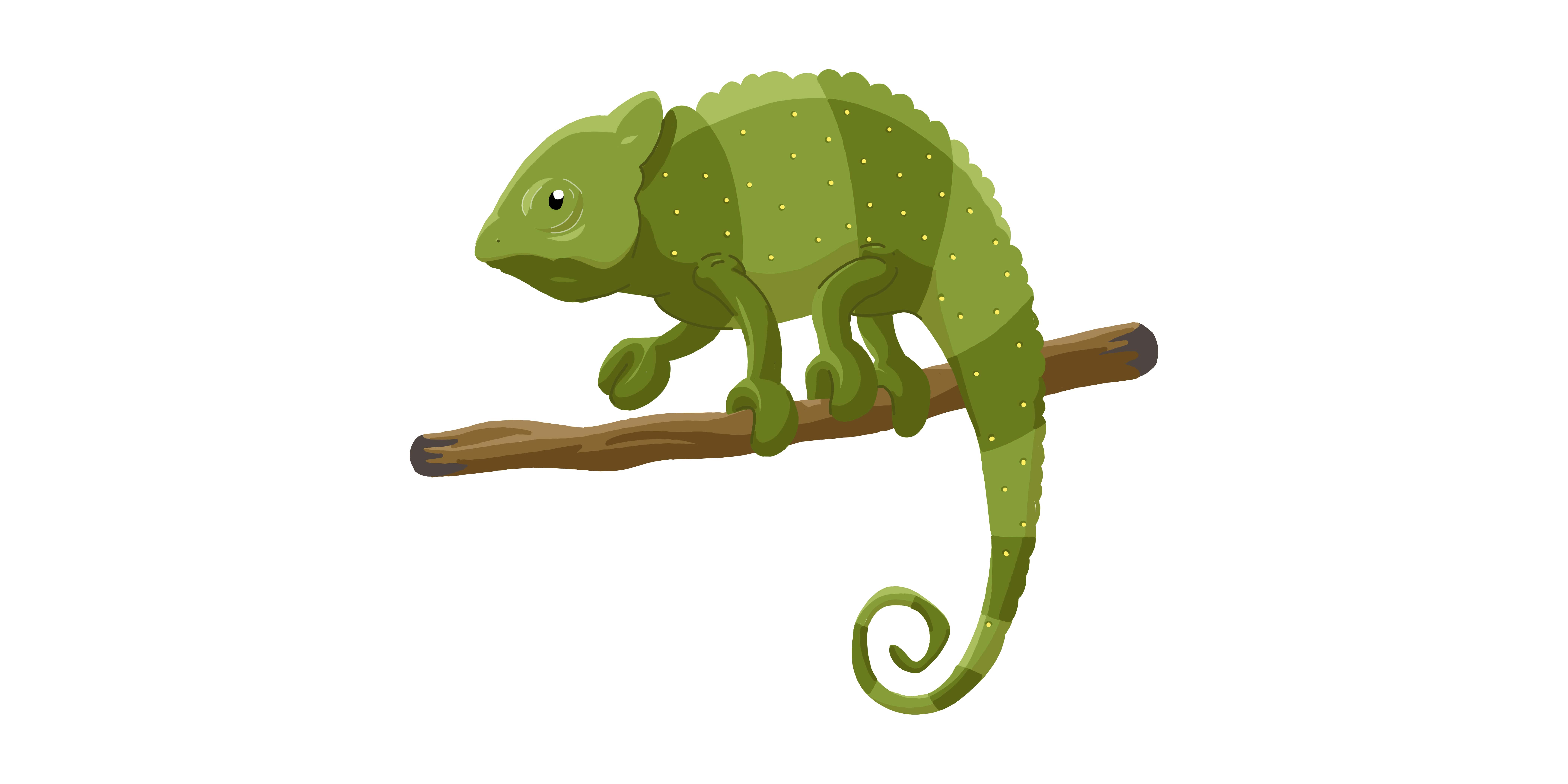 A chameleon on a tree branch