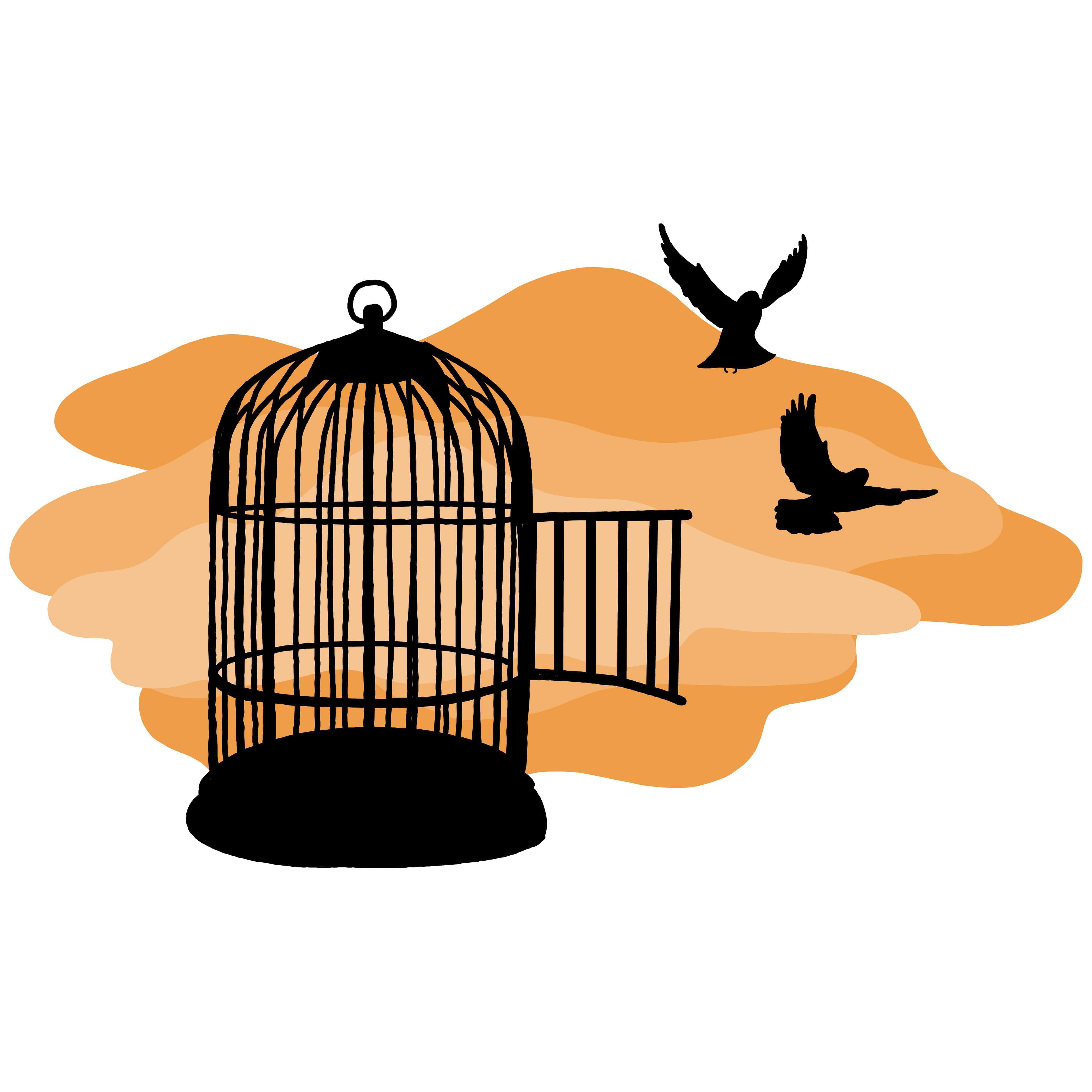 Birds flying out of a cage