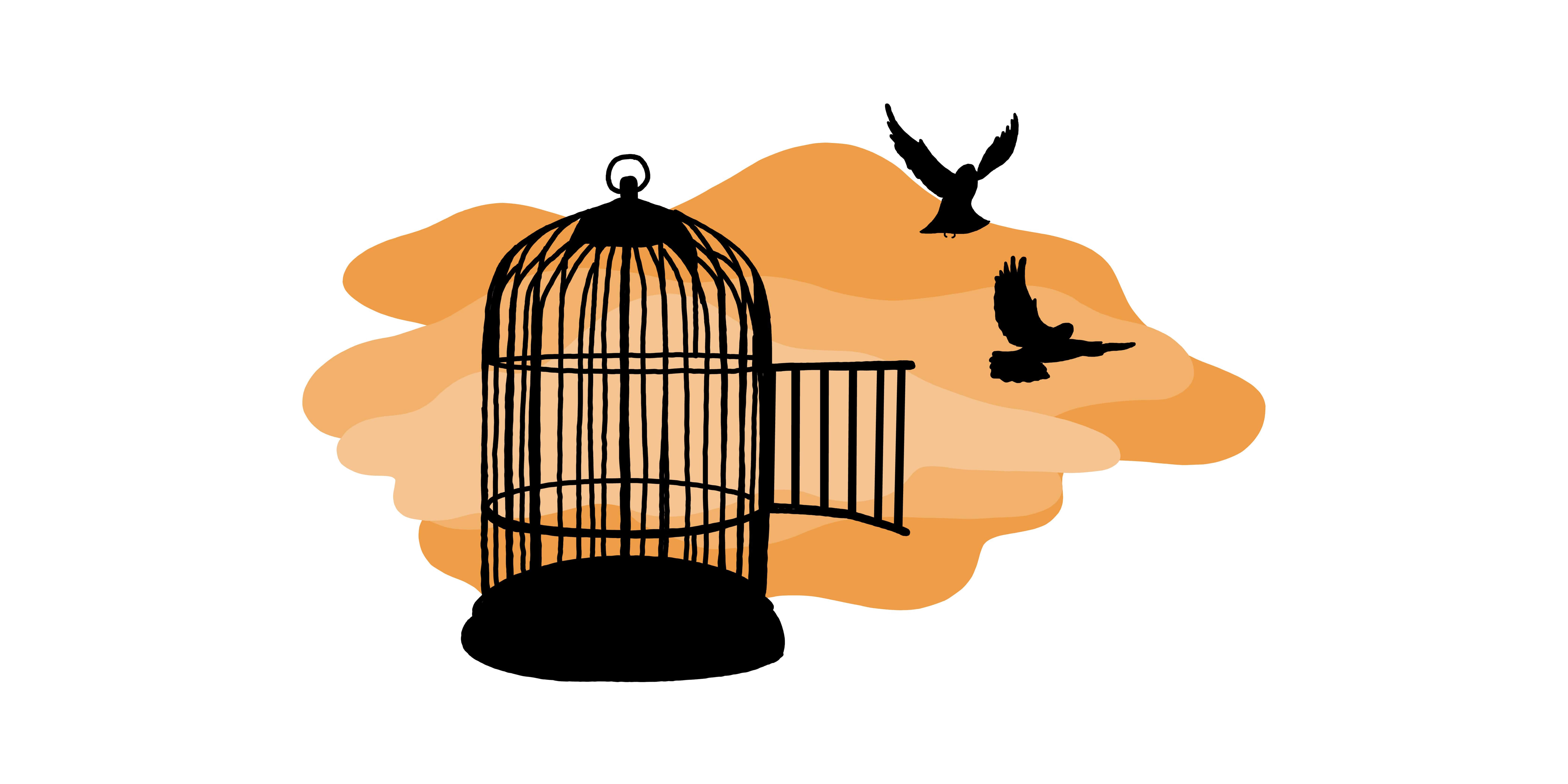 Birds flying out of a cage