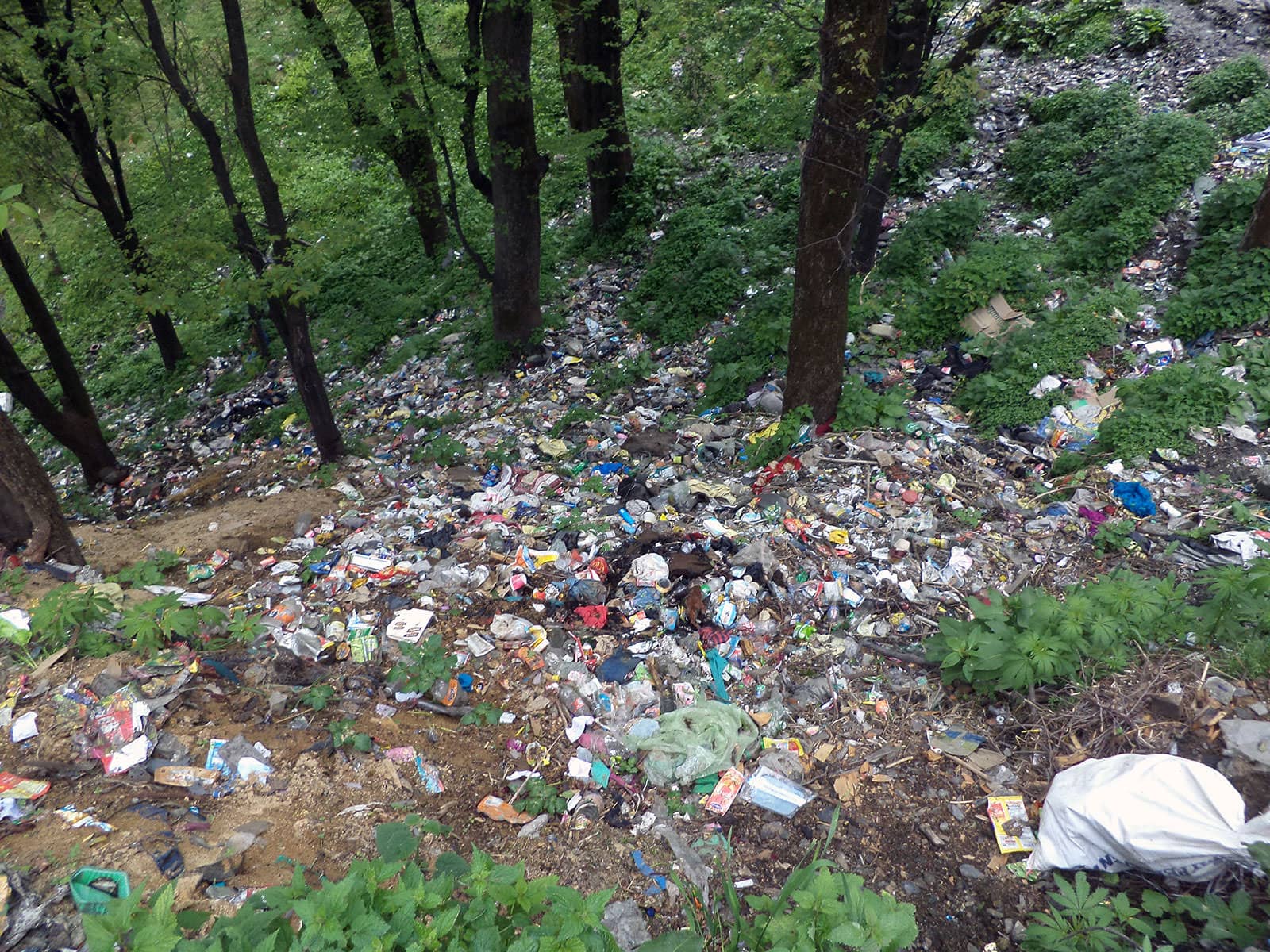 Garbage dumped in a valley in the outskirts of Malana