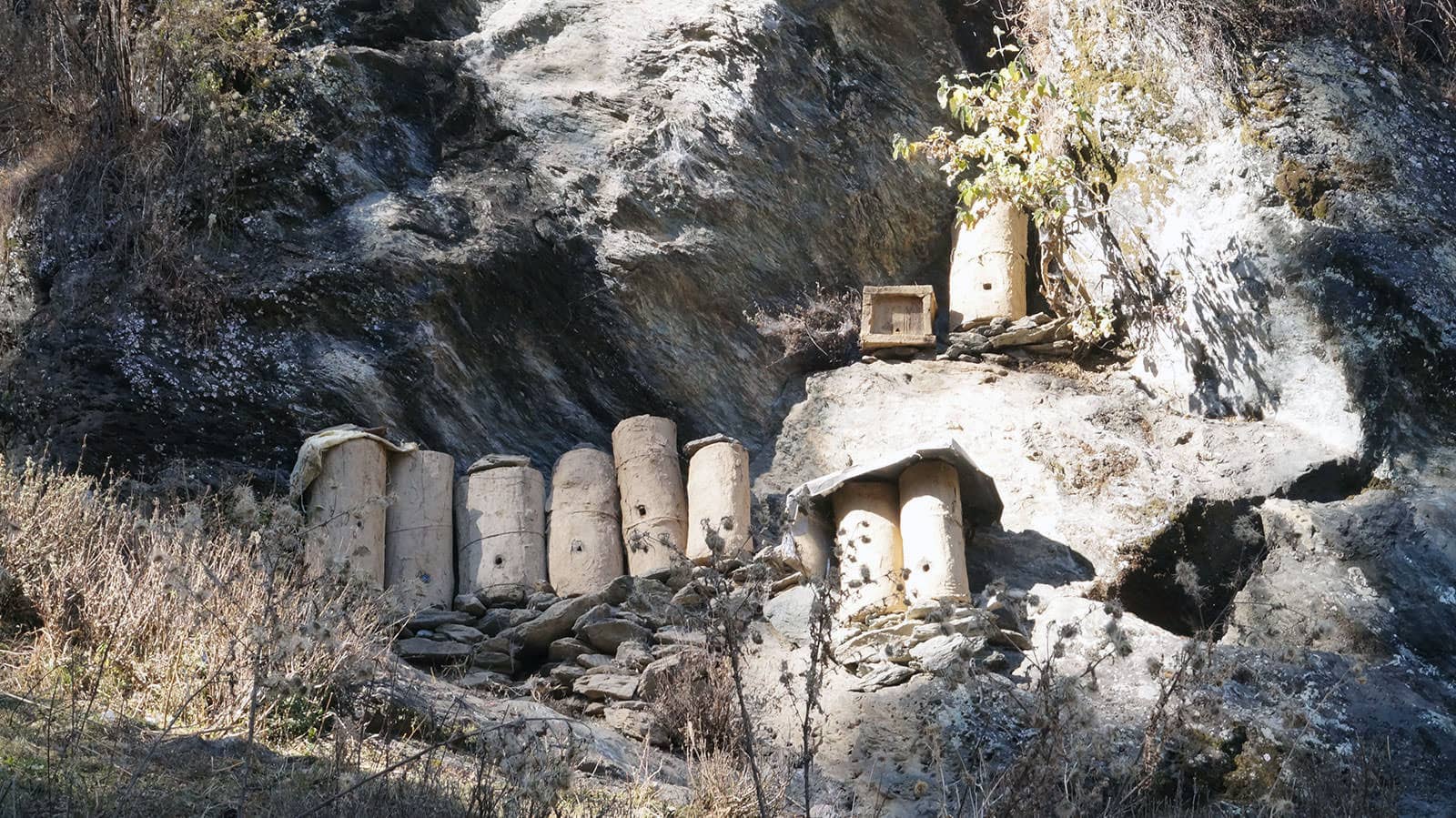 Beehives to harvest honey in the outskirts of Malana