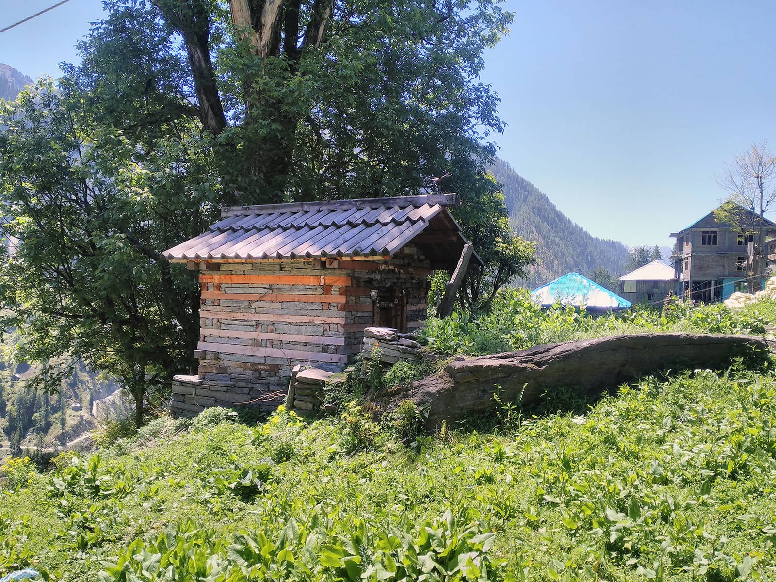 Temple of Renuka devi